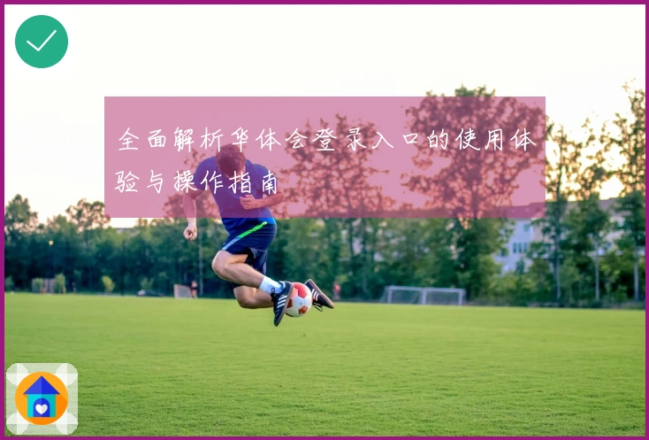 全面解析华体会登录入口的使用体验与操作指南