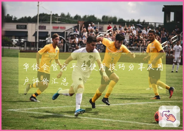 华体会官方平台使用技巧分享及用户评价汇总